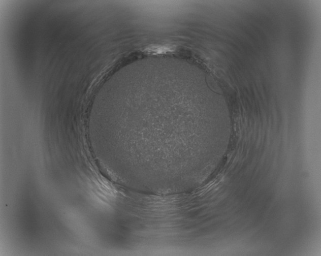 X0000067461393200604071116