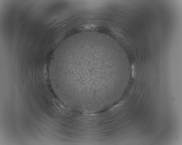 X0000067461395200604071116