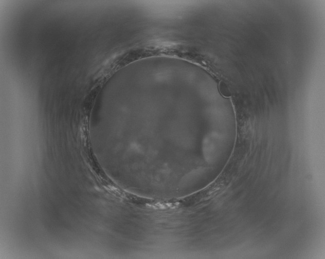 X0000067461397200604071116