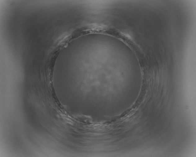 X0000067461399200604071116