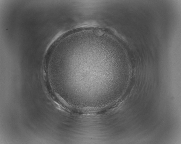 X0000067461400200604071116