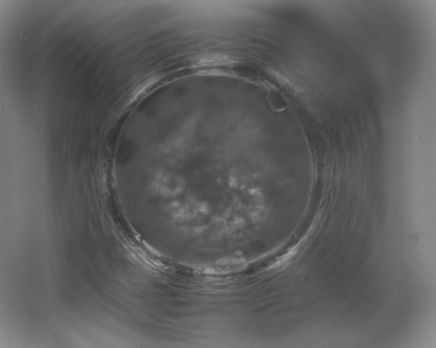 X0000067461401200604071116