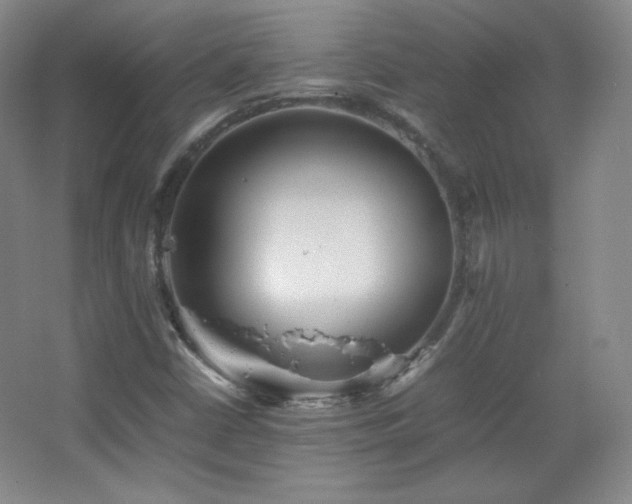 X0000067461402200604071116