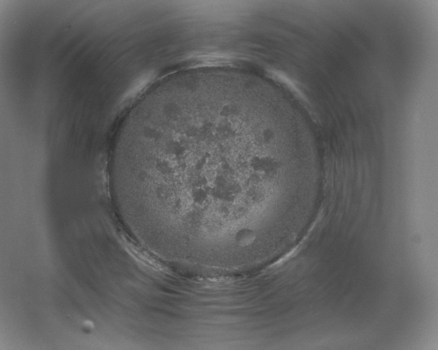 X0000067461403200604071116