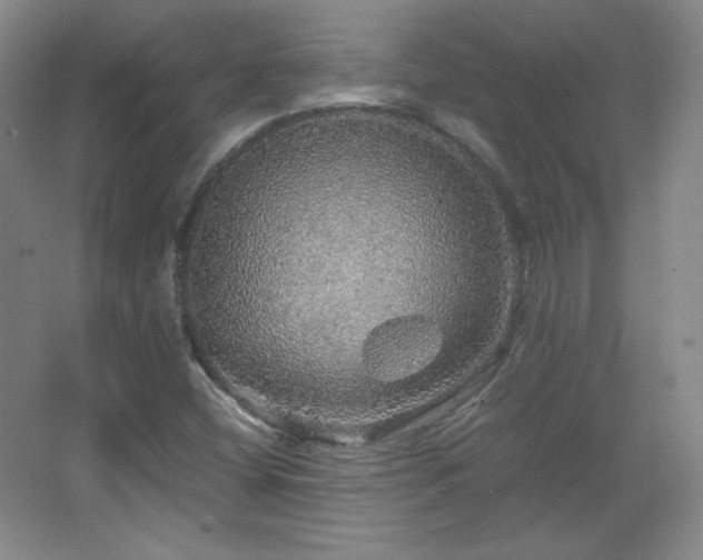 X0000067461404200604071116