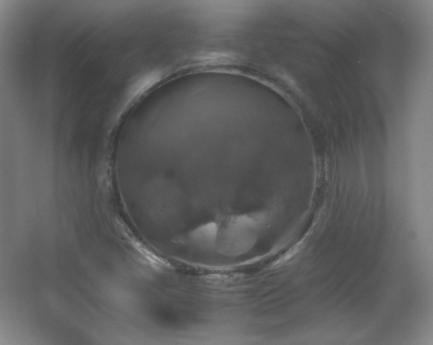 X0000067461405200604071116