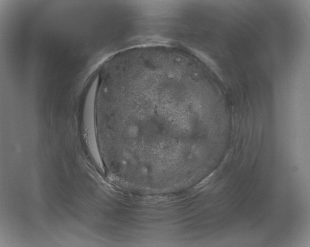 X0000067461407200604071116