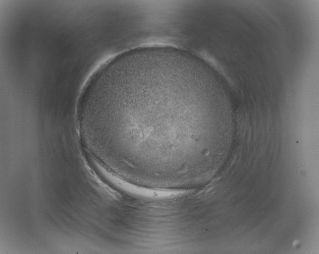 X0000067461408200604071116