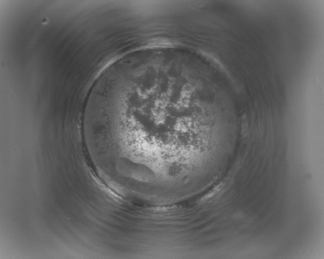 X0000067461409200604071116