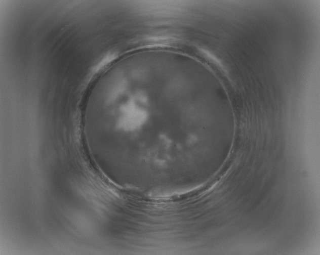 X0000067461411200604071116