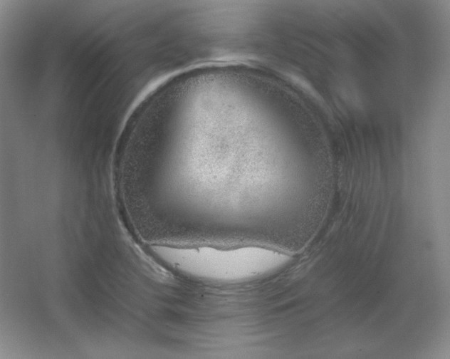 X0000067461412200604071116