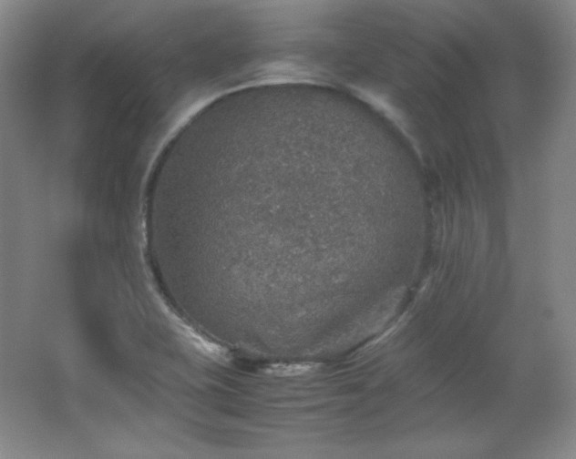 X0000067461415200604071116