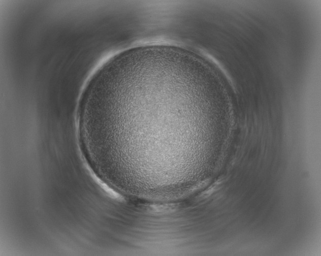 X0000067461416200604071116