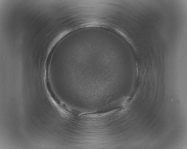 X0000067461418200604071116