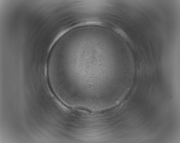 X0000067461420200604071116