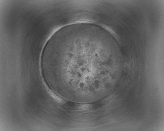 X0000067461423200604071116