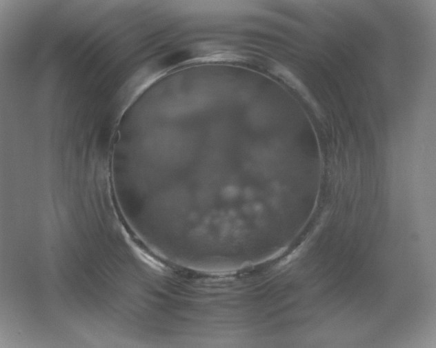 X0000067461425200604071116