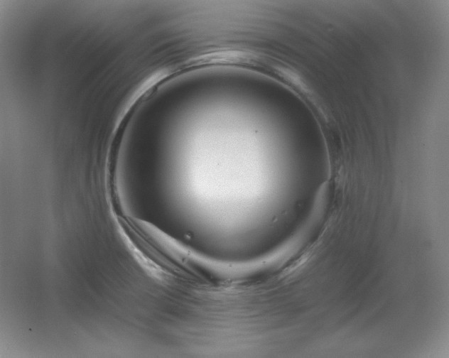 X0000067461426200604071116