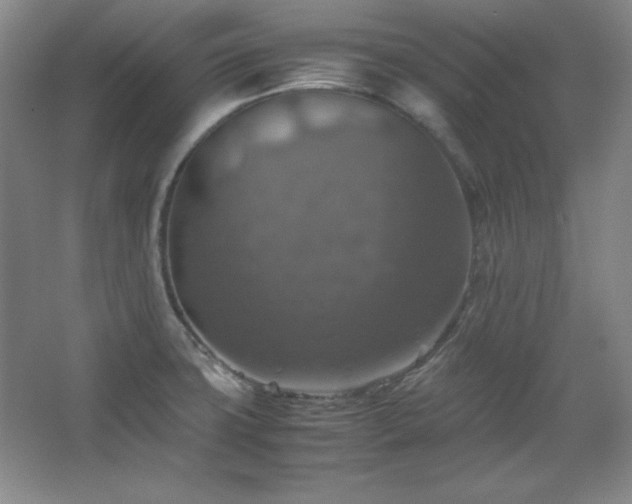 X0000067461427200604071116