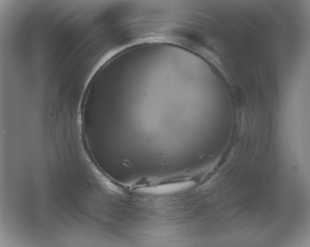 X0000067461428200604071116