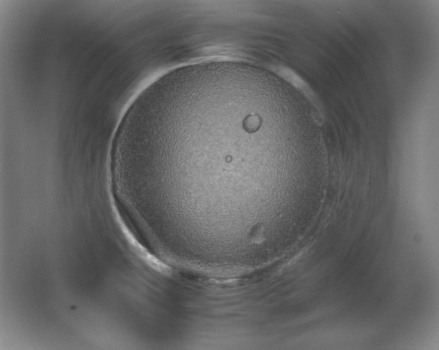 X0000067461431200604071116