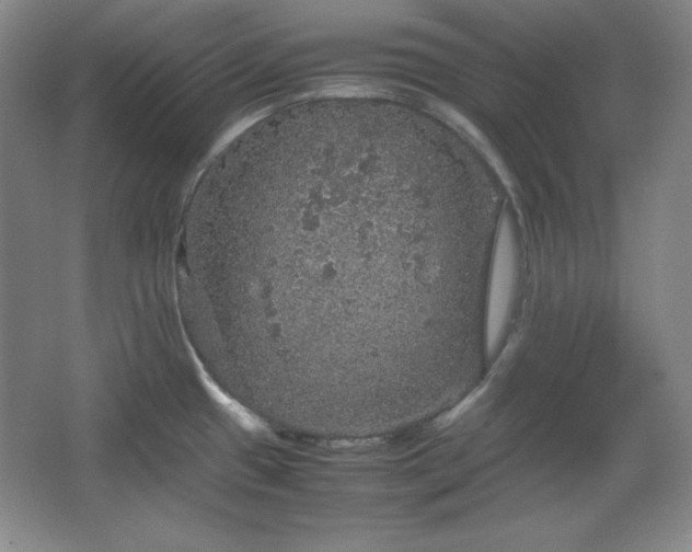 X0000067461433200604071116