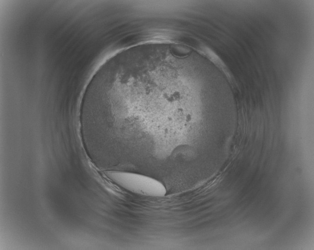 X0000067461435200604071116