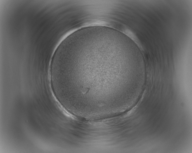 X0000067461436200604071117