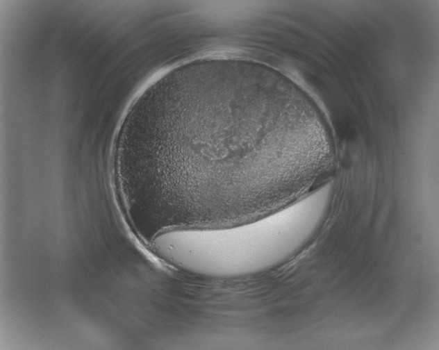 X0000067461437200604071117