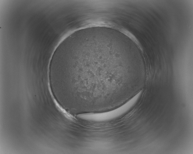 X0000067461439200604071117