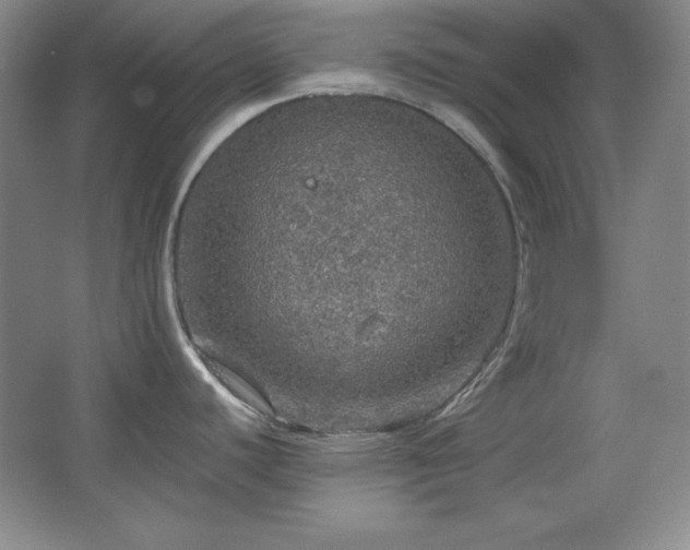 X0000067461440200604071117