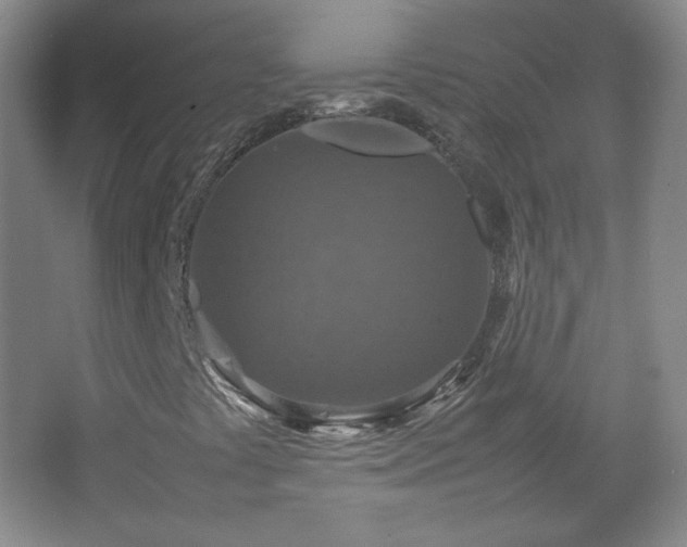 X0000067461441200604071116