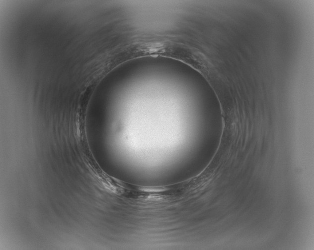 X0000067461442200604071116