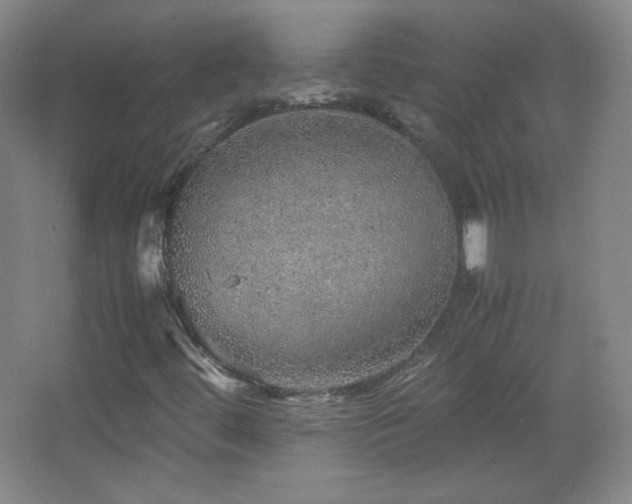 X0000067461444200604071116