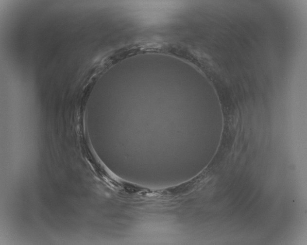 X0000067461445200604071116