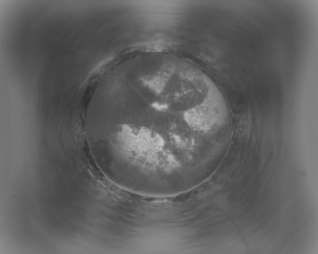 X0000067461446200604071116