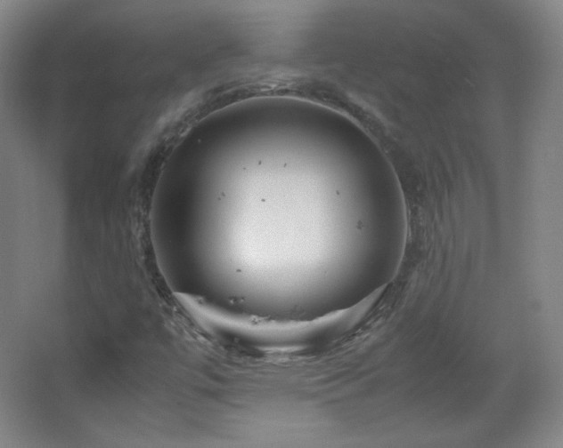 X0000067461447200604071116