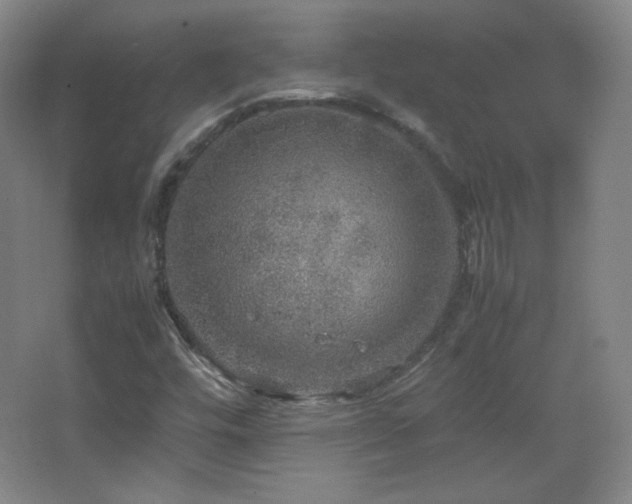 X0000067461448200604071116