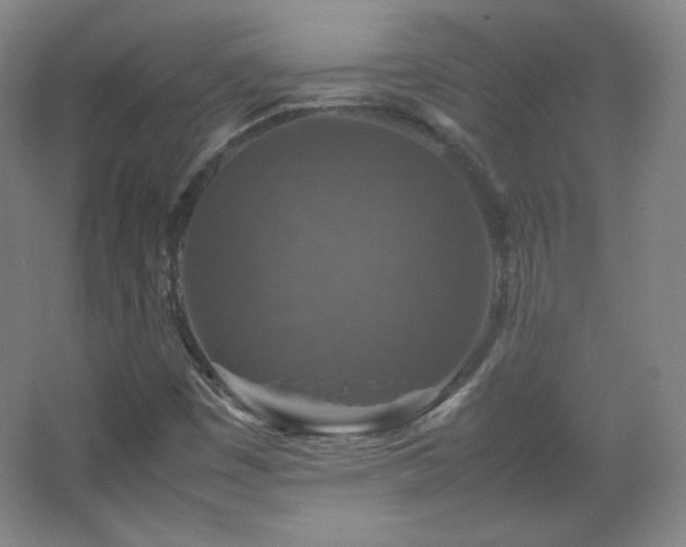 X0000067461449200604071116