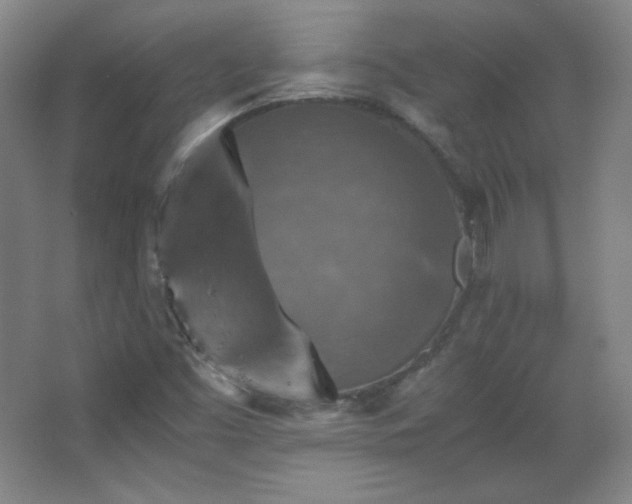 X0000067461453200604071116