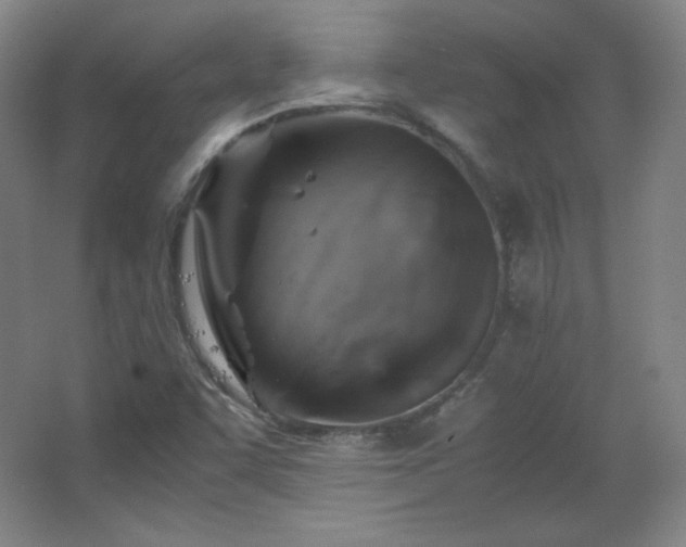 X0000067461455200604071116