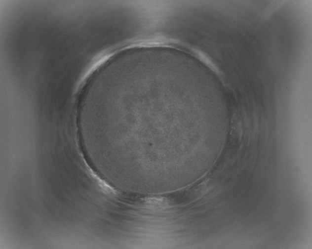 X0000067461456200604071116