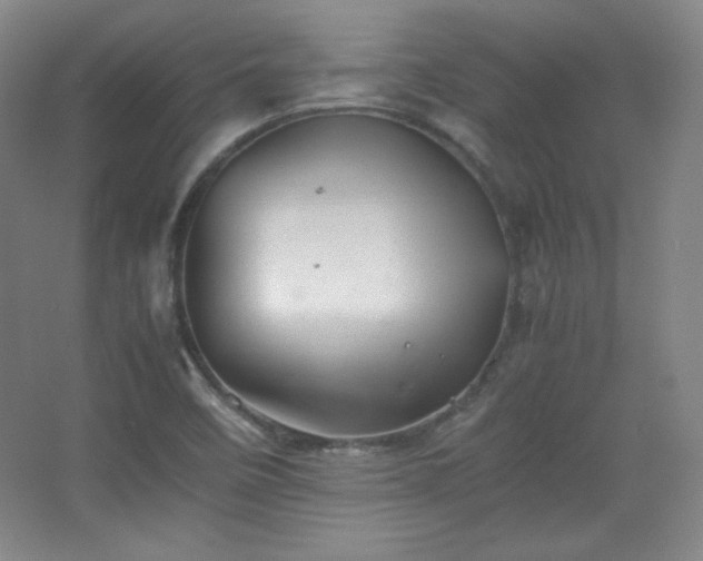 X0000067461458200604071115