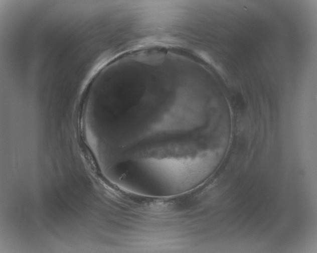 X0000067461459200604071115