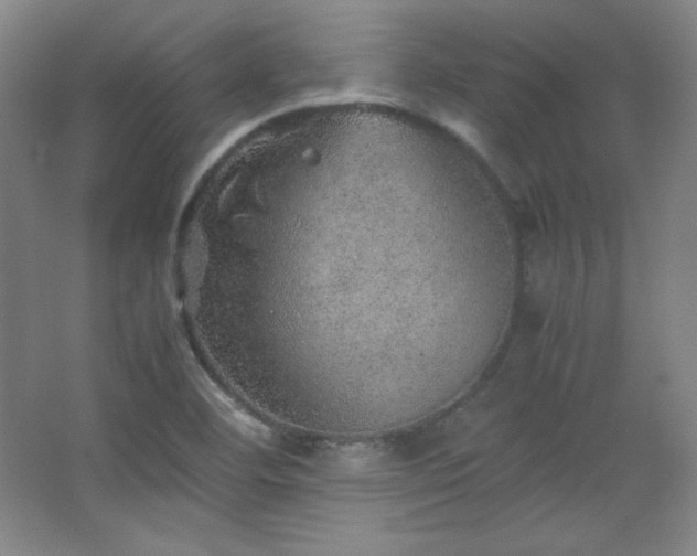 X0000067461460200604071115