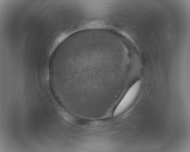 X0000067461461200604071115