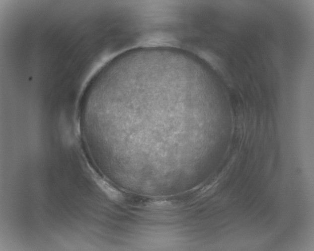 X0000067461462200604071115