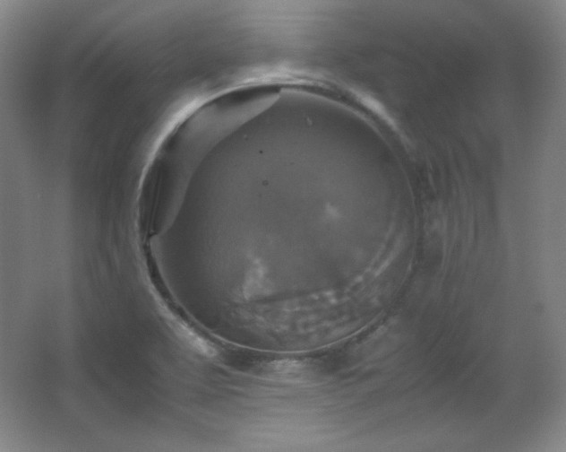 X0000067461463200604071115