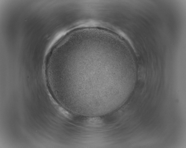 X0000067461464200604071115