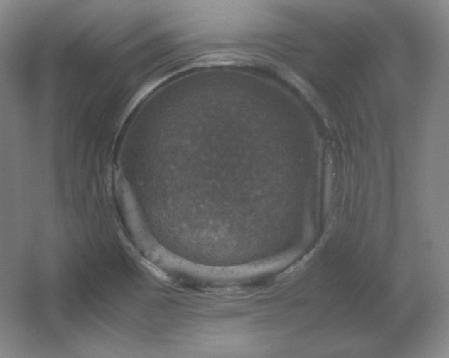 X0000067461465200604071115